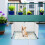 1Set Plastic Kattenbak Omheining Spatscherm Thuis Wit PP 3