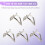 5 Metal Frames Snap Clasp Arch Pattern Coin Style Purse Silver 2