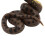 3X Children'S Toy Snake Model Simulation Reptile  Python  Python Wild Animal Snake Model 7