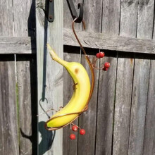 Fjärilsbananhängmatta Utomhushängande Fjärilsmatare för , Trädgårdsinredning & Butterfly Attractor Decor 3st