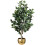 Leaf Leaf Realistic Artificial Ficus Tree 100cm with Planter - Dark Bushy 7