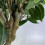 Leaf Leaf Realistic Artificial Ficus Tree 100cm with Planter - Dark Bushy 9