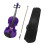 4/4 Solid Wood Acoustic Violin Beginner Pack with Distinctive Purple Finish and Clear Projection 2