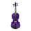 4/4 Solid Wood Acoustic Violin Beginner Pack with Distinctive Purple Finish and Clear Projection 5