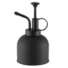 Stainless Steel Plant Watering Can 300ml with Spray Bottle for Indoor Flowers and Precise Misting