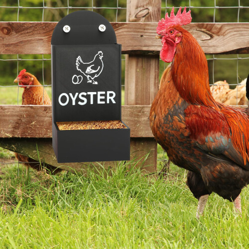2 Pack Automatic Hanging Chicken Grit and Oyster Shell Feeder with Gravity Trough Design 2