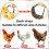 Chicken Saddle 3Pack Waterproof Padded Hen Back Protector with Elastic Straps and Comfort Fit 5
