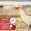 30 Pack Horizontal Chicken Waterer Nipples with Drill Bit, Automatic Leakproof Poultry Waterer 2