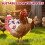 2PCS Waterproof Chicken Saddle for Hens, Elastic Hen Apron with Feather Protection Design 2