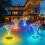 Plastic Water Resistant LED Water Show Light With 4 Light picks 5