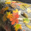 Leaf Sticker Removable Adhesive PET Sticker Label for-2 2
