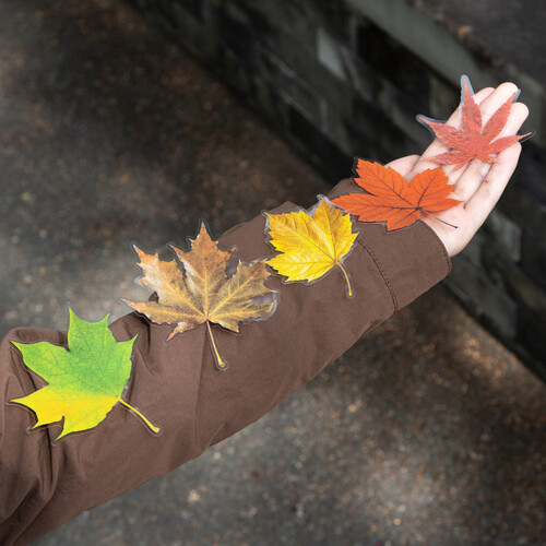Leaf Sticker Removable Adhesive PET Sticker Label for-2 2
