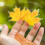 Leaf Sticker Removable Adhesive PET Sticker Label for-2 4