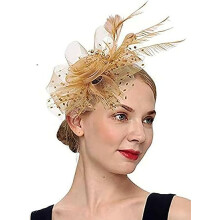 Fascinator Hats for Women Tea Party Hat Kentucky Fascinators Headband Derby Hats Wedding Carnival