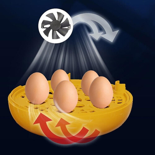 Automatic Egg Incubator with Temperature Control and Clear Window for Chicken Quail Pigeon Bird 1