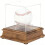 Convenient Baseball Display Case Acrylic Cover With Wood Base 5