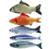 10 τεμάχια παιχνίδια Catnip Fish για γάτα 20cm παιχνίδια γάτας Μαξιλάρι ψαριού γάτας 2