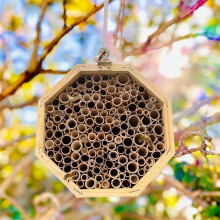 Udendørs træbikube og insekthus - Havedekoration til bestøvere og sangfugle, miljøvenlig habitatstøtte