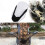 2X Motorcycle Windshield Deflector Shield Screen Accessories for  NMAX155 NMAX125 2016-2018 3
