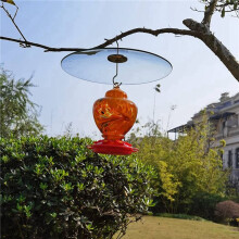 2X Glass Squirrel Baffle for Bird Feeders Pole - Shepherd Hooks/Post Hanging - Clear 13Inch Large Weather Guard