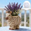 Zebras Shape Crafting Flowerpot Mold for Unique Resin Containers 4