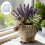 Zebras Shape Crafting Flowerpot Mold for Unique Resin Containers 5