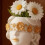 Silicone Masked Lady Shaped Mold Suitable For Crafting Succulent 5