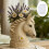 Horse Head Shape Flower Container Silicone Mold for Handmade 6