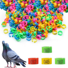 100PCS 10mm Pigeon Leg Bands Mixed Colors Plastic Bird Leg Rings for Poultry Quail Chickens