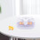 Digital Egg Incubator 16 Eggs Automatic Turner Humidity Control for Chickens Ducks Quails 2
