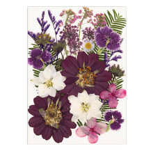 Dried Plant Craft Supplies For DIY Bookmarks Resin-Purple