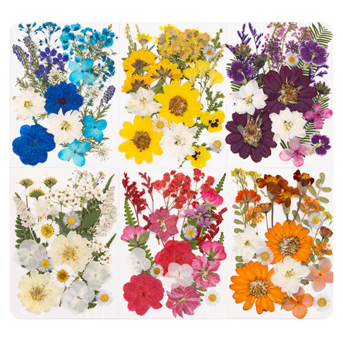Pressed Flower Set For DIY Art Projects And Handmade-Yellow 1