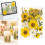 Pressed Flower Set For DIY Art Projects And Handmade-Yellow 3