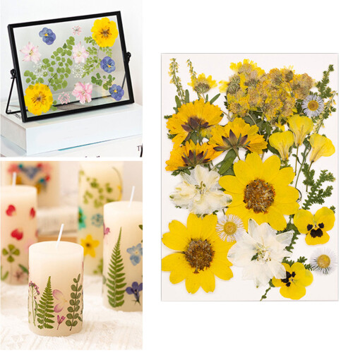 Pressed Flower Set For DIY Art Projects And Handmade-Yellow 2