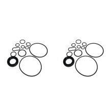 2X Power Steering Pump Repair Kit Power Seal Ring Oil Seal 91349-RAA-A01 06538-RAA-A01 for Accord CRV