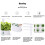 Hydroponics Growing System Full-Spectrum LED Plant Growth Light Intelligent Vegetable Germination Kit EU Plug White 5