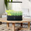 Hydroponics Growing System Full-Spectrum LED Plant Growth Light Intelligent Vegetable Germination Kit EU Plug White 7