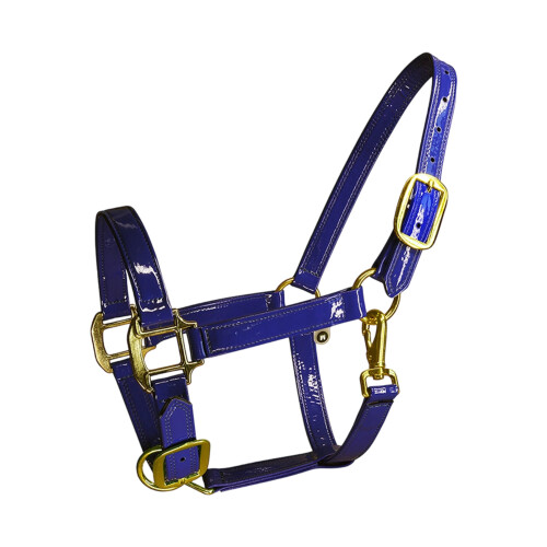 Brides de cheval en cuir de qualité supérieure,-Bleu M