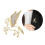 Multi Purpose Pegasus Design Brooch Hollow Out And Micro 2
