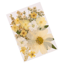 Dried Flower Leaves Set For Candle Making Resin Art Craft-C