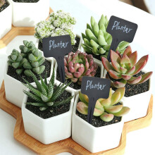 101Pcs/Set Black Plant Labels Water T-Types Plant Tag Reusable Nursery Garden Labels Plant Markers for Flower Vegetables