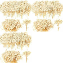 Dried Babys Breath Flowers, 270Pcs Baby Breath Flower, Dried Flowers for Crafts, Wedding Decor Boho