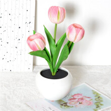 2X Tulpenlamp Verlichting Tafellamp Bloem Bureaulamp Led Tulp Nachtlampje voor Woonkamer Slaapkamer voor Thuis Woonkamer