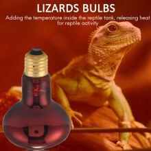 100W 2 Pack Infrared Heat Lamp Bulb Red Light Heat Bulbs for Pet Lizards Bearded Dragons Chameleons Snakes Reptiles & Amphibians 220V