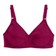 Elegant Plus Size Bra, All-Over Lace with Plunge Neckline, Perfect for Date Night, Anniversary & Feeling Gorgeous Red 36