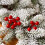 Burgundy Berry Stems Artificial Red Berries 20-Pack 6