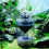Modern Fishtanks Filters Efficient Water-Single Leaf 5