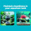Modern Fishtanks Filters Efficient Water-Single Leaf 7