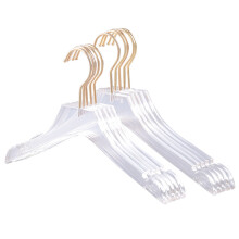 5 Stuks Helder Acryl Kleerhanger met Gouden Haak, Transparante Shirts Kledinghanger met Inkepingen voor Lady Kids S