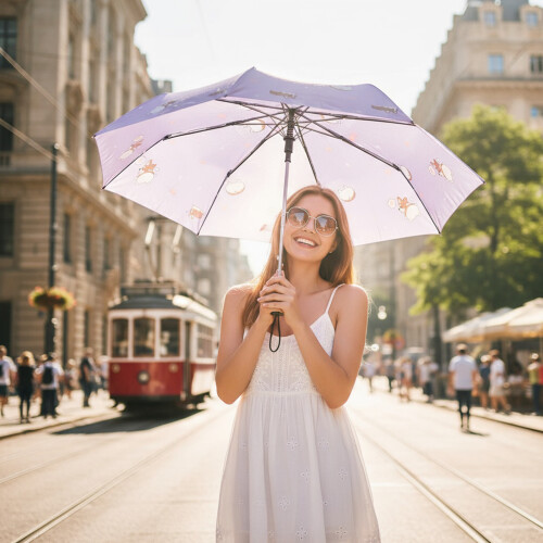 Windproof Umbrella Automatic Open Close Black Coated-Sky Blue 2